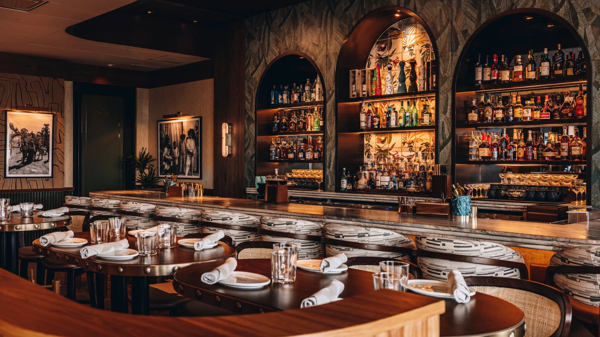 Maroma's bar under arched, backlit shelves in the Dallas Design District